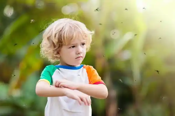 نیش حشرات در کودکان