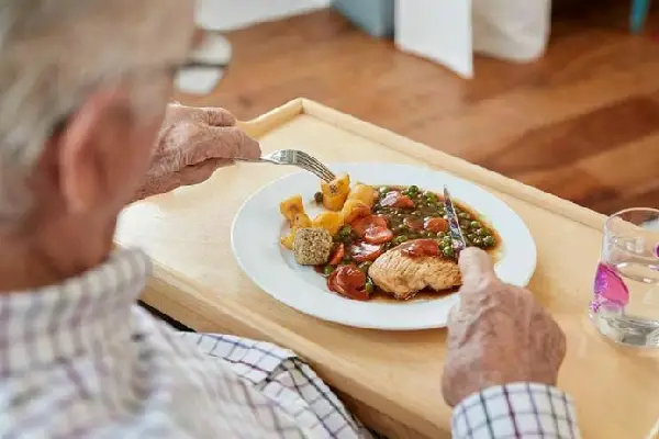 رژیم غذایی سالمندان و غذاهای خانگی