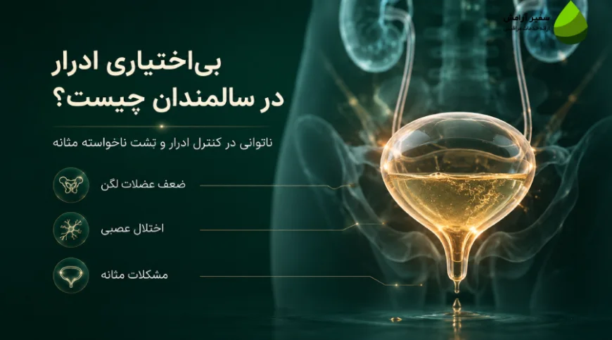 بی اختیاری ادرار در سالمندان چیست؟