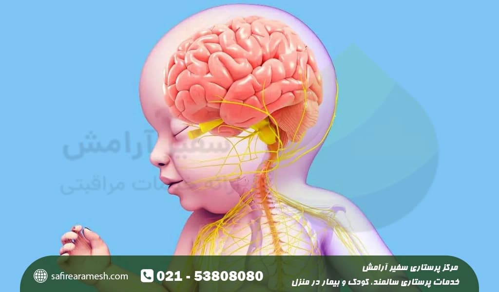 رشد ذهنی کودک