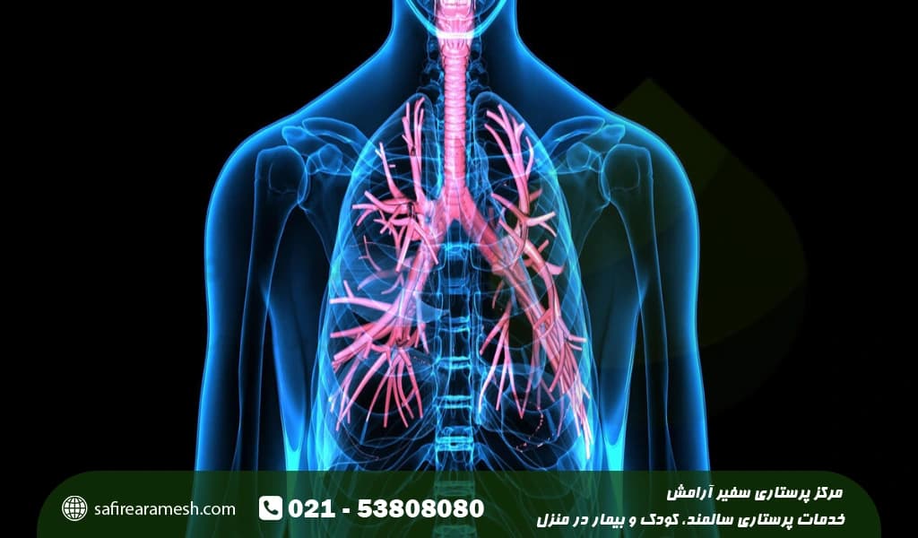 چگونه ریه خود را تقویت کنیم؟