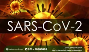 بیماری سارس؛ علائم، درمان و راه های انتقال عفونت سارس