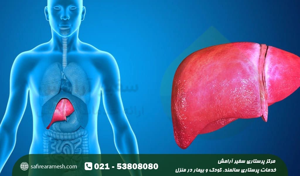 درمان سریع و فوری کبد چرب در خانه