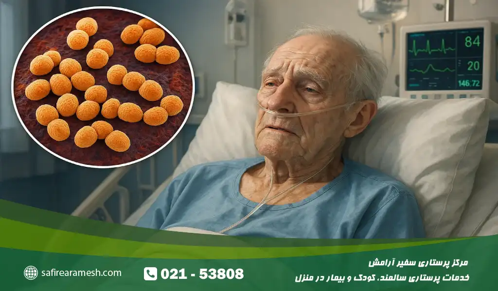 واکسن پنوموکوک چیست و چرا برای سالمندان اهمیت دارد؟