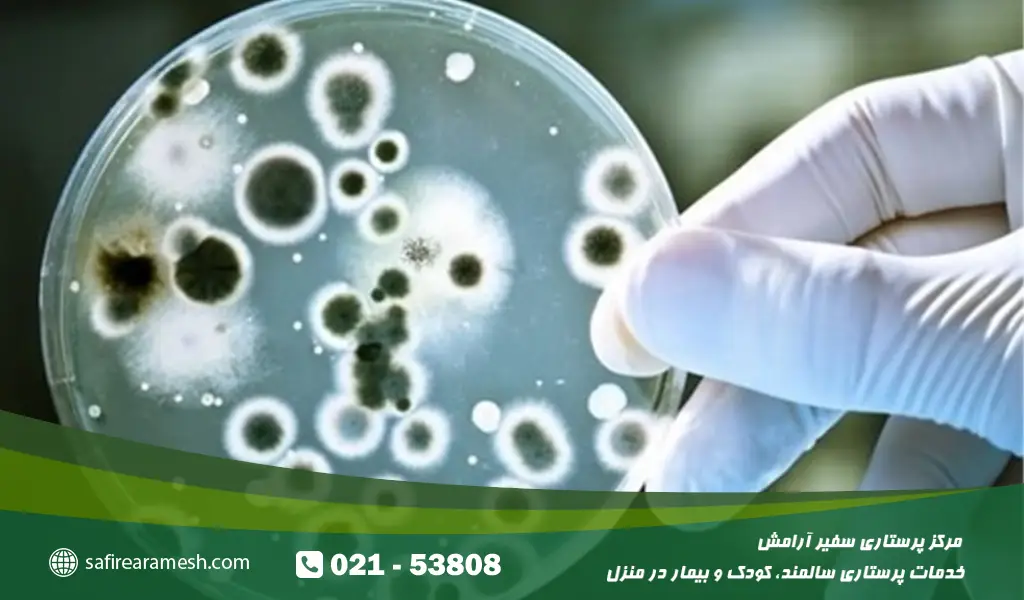 تشخیص علائم عفونت ادراری در کودکان