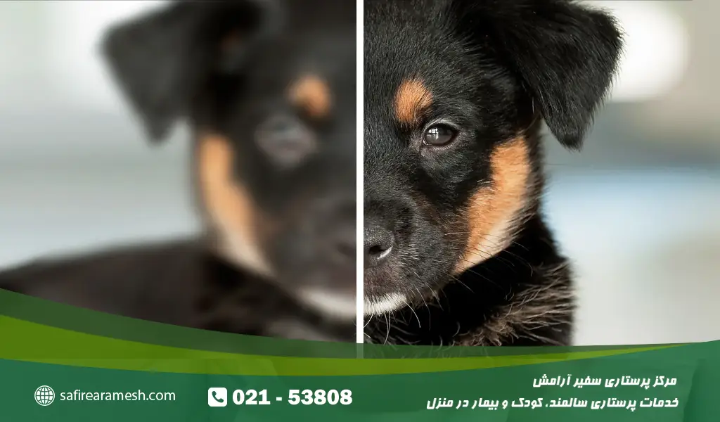 علائم پیرچشمی معمولاً به تدریج ظاهر می‌شوند و اولین نشانه‌ها ممکن است خفیف باشند.