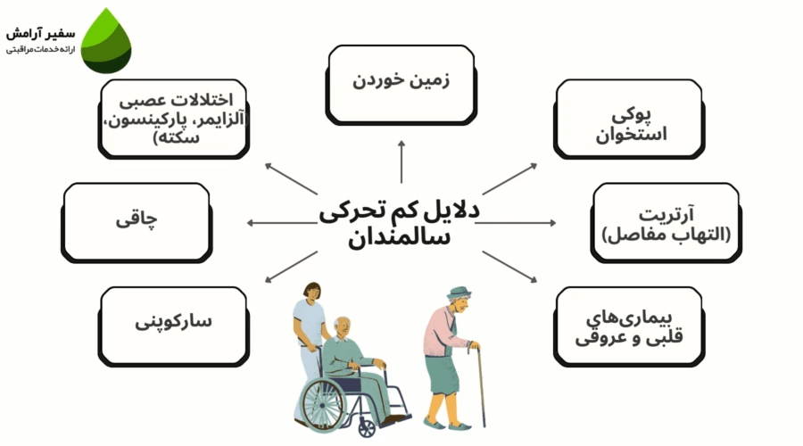 تمرینات ساده برای سالمندان کم‌ تحرک